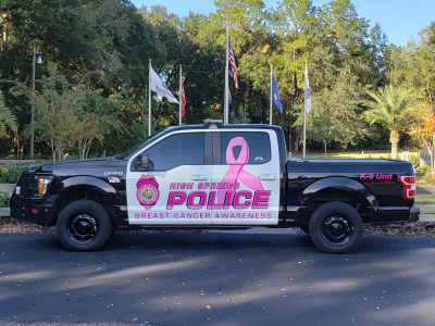 Hspd Showing Support Of Breast Cancer Awareness Car Two